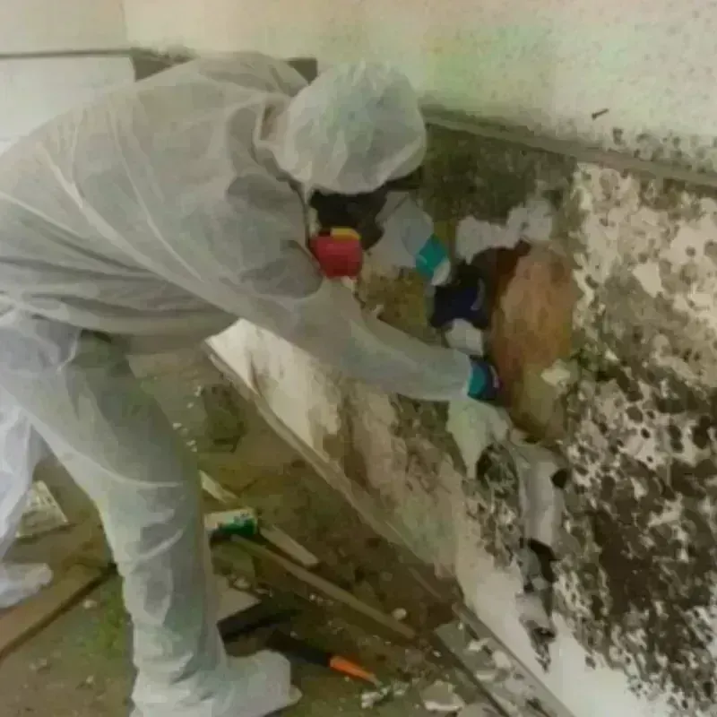 Mold Remediation and Removal in Glenrock, WY